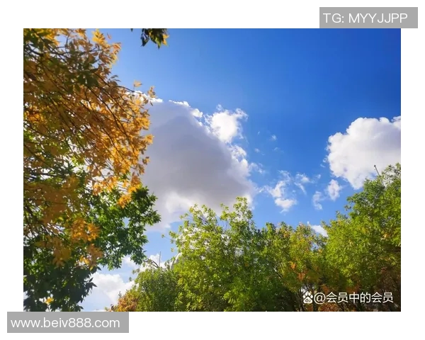 仙台七夕的绚丽与喜悦交织成梦幻节日的美好瞬间