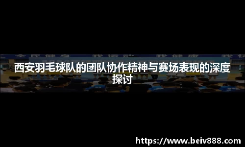 西安羽毛球队的团队协作精神与赛场表现的深度探讨