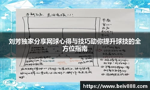 刘芳独家分享网球心得与技巧助你提升球技的全方位指南