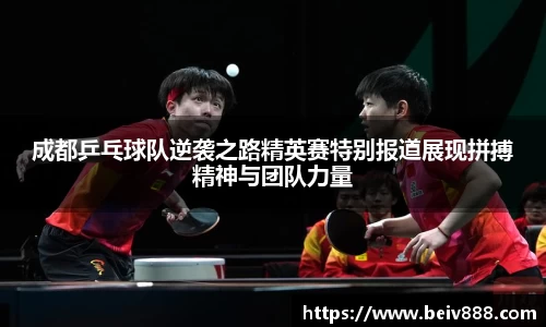 成都乒乓球队逆袭之路精英赛特别报道展现拼搏精神与团队力量