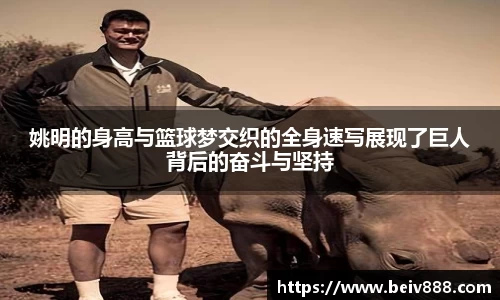 必一